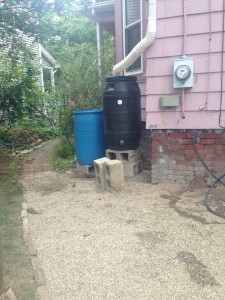 container gardens next to water catchment 